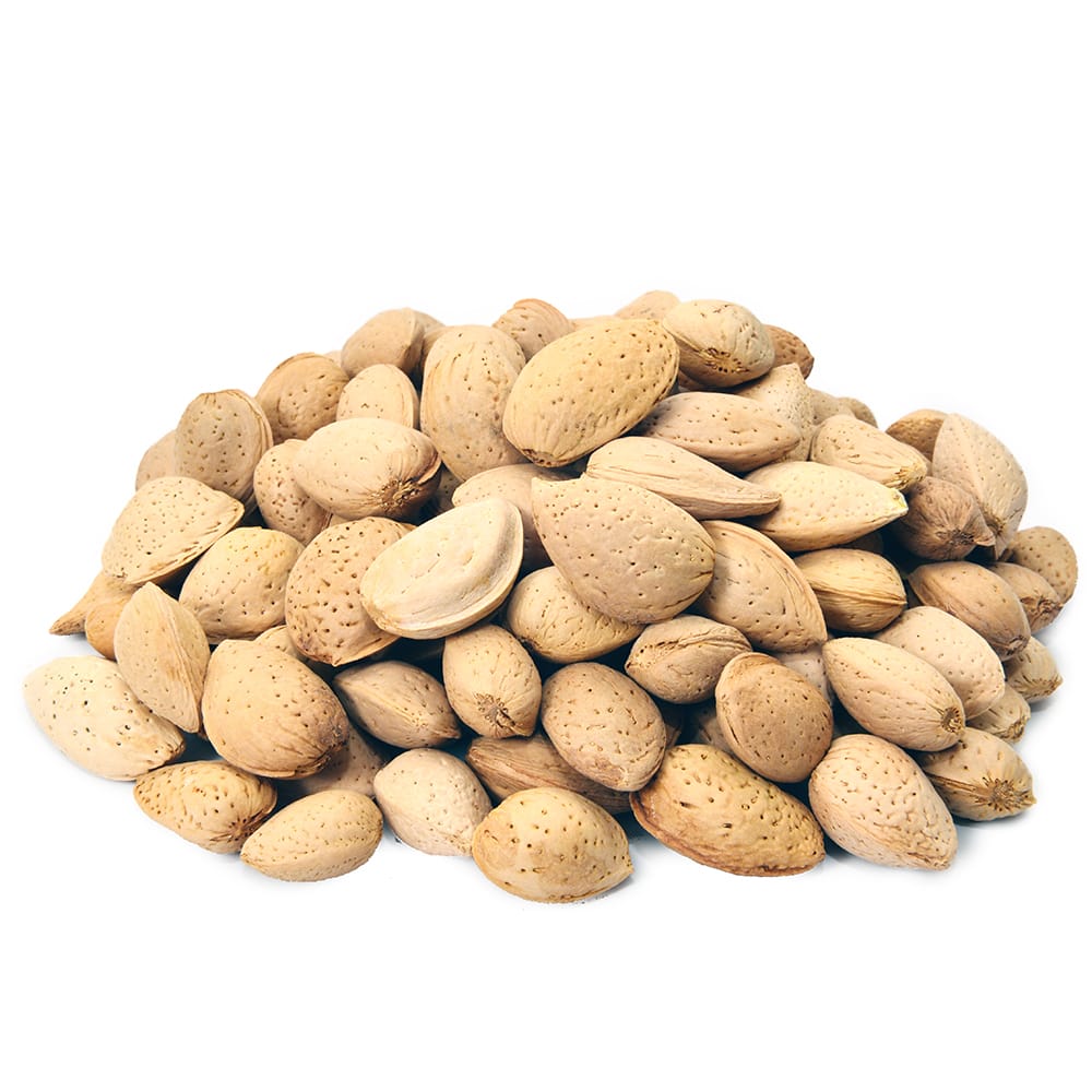 Badam hard (Almond In Shell)
