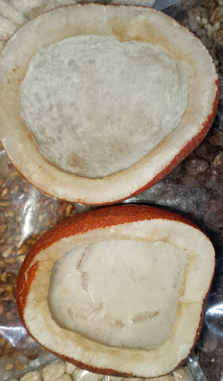 Coconut 🥥 Giri Nariyal (khopra)