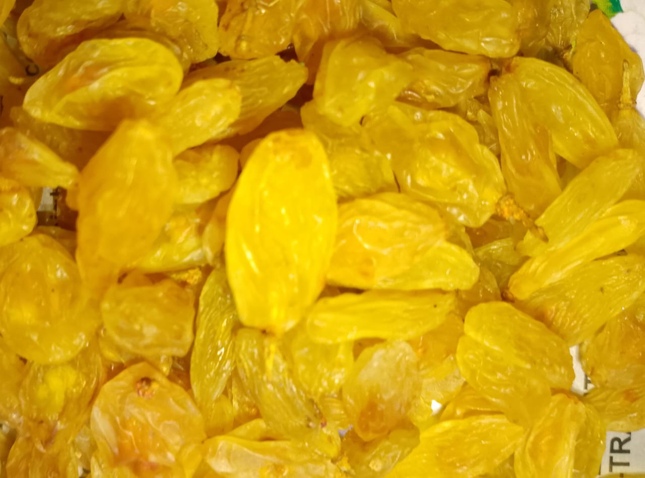 Meva Sogi Sunderkhani (Raisin) Sheesha